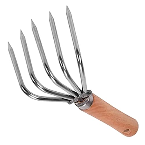 ADOCARN Strandrechen mit Krallen Robustes Werkzeug zum Muscheln und Austern Sammeln für Strandabenteuer und Gartenarbeit Hochwertiger Kurzer Griff Ergonomisches Design von ADOCARN