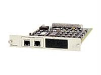 Adtran TSU NETVANTA Routing MODUL (1202350L1) von ADTRAN