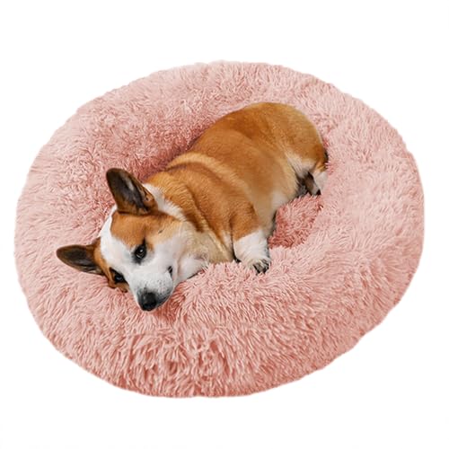 ADUODAO Fluffy Cuddler Hundesofa, Bett, Donut-beruhigendes Katzenbett, Plüsch-Hundekorb mit rutschfester Unterseite, weiches langes Plüsch-rundes Haustierkissen für große, mittelgroße und kleine ADUODAO Fluffy Cuddler Hundesofa, Bett, Donut-beruhigendes Katzenbett, Plüsch-Hundekorb mit rutschfester Unterseite, weiches langes Plüsch-rundes Haustierkissen für große, mittelgroße und kleine von ADUODAO