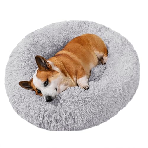 ADUODAO Fluffy Cuddler Hundesofa, Bett, beruhigendes Katzenbett, Plüsch-Hundekorb mit rutschfester Unterseite, weiches langes Plüsch-rundes Haustierkissen für große, mittelgroße und kleine Haustiere ADUODAO Fluffy Cuddler Hundesofa, Bett, beruhigendes Katzenbett, Plüsch-Hundekorb mit rutschfester Unterseite, weiches langes Plüsch-rundes Haustierkissen für große, mittelgroße und kleine Haustiere von ADUODAO