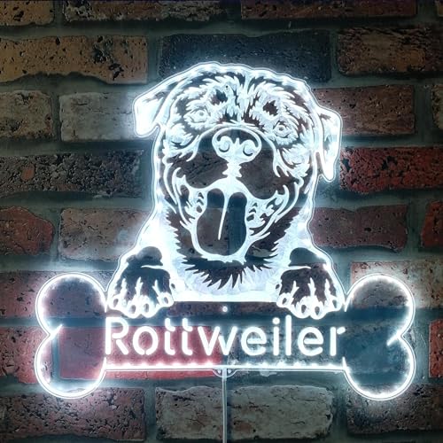 ADVPRO Name Personalize Rottweiler RGB Dynamic Glam LED-Schild, Schnittform, intelligente 3D-Wanddekoration, mehrfarbige dynamische Beleuchtung, st06s22-fnd-p0076-tm von ADVPRO
