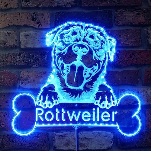 ADVPRO Name Personalize Rottweiler RGB Dynamic Glam LED-Schild, Schnittform, intelligente 3D-Wanddekoration, mehrfarbige dynamische Beleuchtung, st06s66-fnd-p0076-tm von ADVPRO