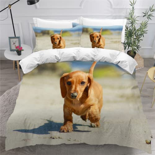 AEESS Bettbezüge 135x200 Dackel 3D Motiv Bettwäsche-Sets 3 Teilig Kuschelig Atmungsaktive Bettwaren Hunde Tiere Betten Set mit Reißverschluss und 2 Kissenbezug 80x80 Kinder Jungen Mädchen von AEESS