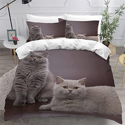 AEESS Bettbezüge 135x200 Katze 3D Motiv Bettwäsche-Sets 3 Teilig Kuschelig Atmungsaktive Bettwaren Britisch-Kurzhaar-Katze Betten Set mit Reißverschluss und 2 Kissenbezug 80x80 Kinder Jungen Mädchen von AEESS