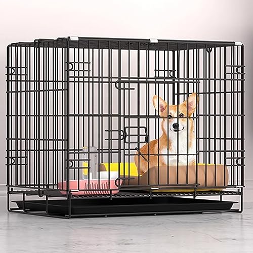 AEGCAOJH Katzenzaun, Indoor-Trainingszaun, Katzenzaun, faltbar, leicht zu tragen, Outdoor-Reise-Katzenkäfig, Drahtkäfig für Meerschweinchen, Frettchen, perfekt für Welpen, Katzen (Farbe: Sc AEGCAOJH Katzenzaun, Indoor-Trainingszaun, Katzenzaun, faltbar, leicht zu tragen, Outdoor-Reise-Katzenkäfig, Drahtkäfig für Meerschweinchen, Frettchen, perfekt für Welpen, Katzen (Farbe: Sc von AEGCAOJH
