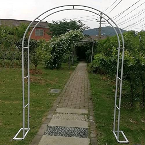 AEGCAOJH Metallbogen, wetterfester Gartenbogen, Pergola-Laubenbogen, Kletterpflanzen-Stützbogen, für Hochzeitsfeierbogen, Pergola im Hinterhof im Freien (Farbe: Weiß, Größe: 120 x 220 x 25 von AEGCAOJH