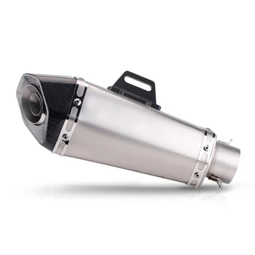 AEIOUPMMA 51mm Universal-Motorradauspuff Modifizierter Kleiner Kegel Hexagon Carbon Fiber Schalldämpfer mit DB-Killer Für R3 450SR PCX ZX4R(H Carbon Tip) von AEIOUPMMA