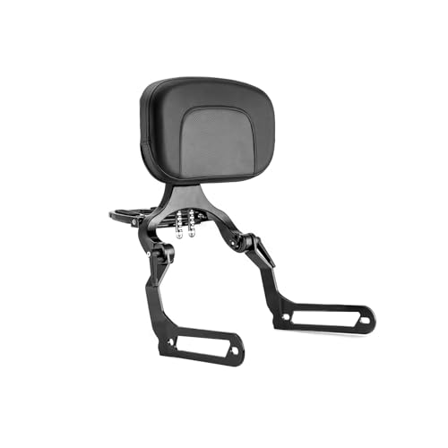AEIOUPMMA Motorrad Beifahrer Rückenlehne Sissy Bar Für Harley Fat Bob 114 FXFBS FXFB 2018-2024 von AEIOUPMMA