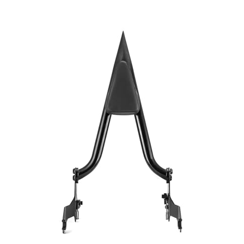 AEIOUPMMA Motorrad Beifahrer-Rückenlehne Sissy Bar Softail Für Harley Fat Bob FXFB FXFBS 2018-2024 von AEIOUPMMA
