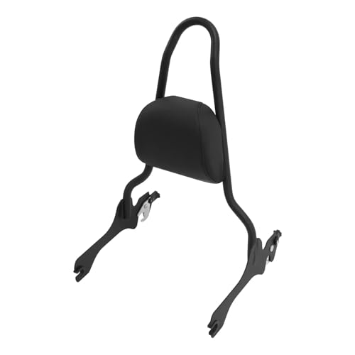 AEIOUPMMA Motorrad Sissy Bar Beifahrerrückenlehne Docking Kit Für Harley Fat Boy Breakout 2018-2024 von AEIOUPMMA