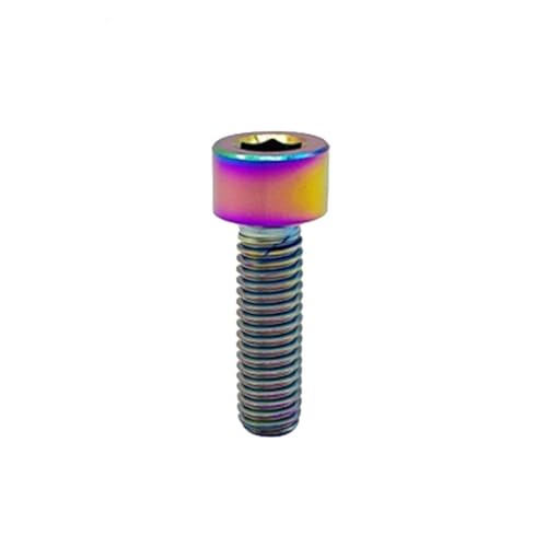 5 Stück GR5 Titanlegierung Ti Bolzen M3 M4 M5 M6 M8 Allen Innensechskant Käse Zylinderkopfschraube For Fahrrad Headset Bremse(Rainbow,M6x30mm (5PCS)) von AEPOCV