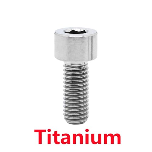 5 Stück GR5 Titanlegierung Ti Bolzen M3 M4 M5 M6 M8 Allen Innensechskant Käse Zylinderkopfschraube For Fahrrad Headset Bremse(Titanium,M4x14mm (5PCS)) von AEPOCV