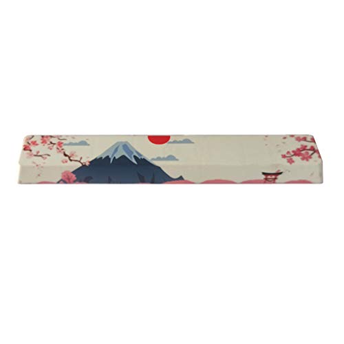 AERVEAL Keyboard Keycap, Leertaste Keycap Pbt Five Side Dye-Subbed 6.25U Kirschprofil für Mount Fuji von AERVEAL