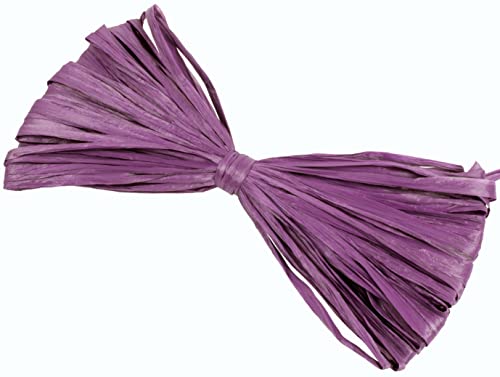 AERZETIX - C59414 - Bast matt 9 g künstlich - farbe violett - raffia stränge rollenbündel dekoratives webgarn - fasern kreative projekte kunst geschenkverpackung gartenarbeit blumenseil von AERZETIX
