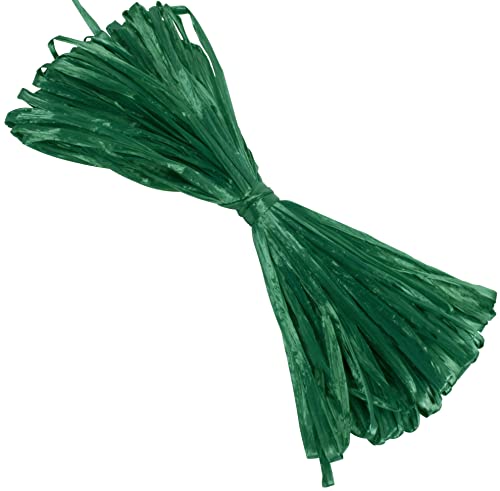 AERZETIX - C59441 - Bast glänzend 9 g künstlich - farbe grün - raffia stränge rollenbündel dekoratives webgarn - fasern kreative projekte kunst geschenkverpackung gartenarbeit blumenseil von AERZETIX