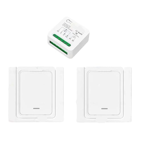 16A Fernbedienung Lichtschalter Zwei-Wege-Steuerung 110V 220V Mini-Empfänger Wandpanel Timing-Funktion(1 receiver 2 panel) von AEVFMQWM