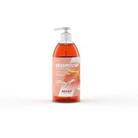 Aexalt - Gel aexamousse Zitrusfrüchte - Flasche 500 ml - CL052 Aexalt - Gel aexamousse Zitrusfrüchte - Flasche 500 ml - CL052 von AEXALT