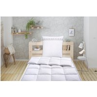 Älgdröm Federbettdecke + Kopfkissen "Forsakar, Bettdecke 135x200 cm, 155x220 cm, Sommer, Winter" 2-tlg., Set mit Kissen 80x80 cm, Made in Germany von Älgdröm