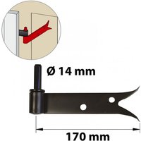 Vorlackiertes Stahl-Bilderscharnier, H. 80 x Ø 14 mm AFBAT Vorlackiertes Stahl-Bilderscharnier, H. 80 x Ø 14 mm AFBAT von AFBAT