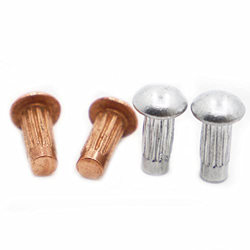 10-100 Stück GB827 Kupfer/Aluminium Rundkopf gerändelte Vollnieten M2 M2,5 M3 M4 gerändelter Schaft Vollniet für Etiketten-Namensschild-4 mm, Messing M2,5 50 Stück von AFFEDT
