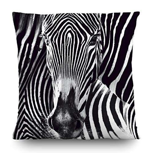 AG Design CN 3605 Deko Kissen, Polyester, Mehrfarbig, 45 x 45 cm von AG Design