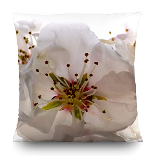 AG Design Blumen Kissen, Stoff, Mehrfarbig, 45 x 45 cm von AG Design