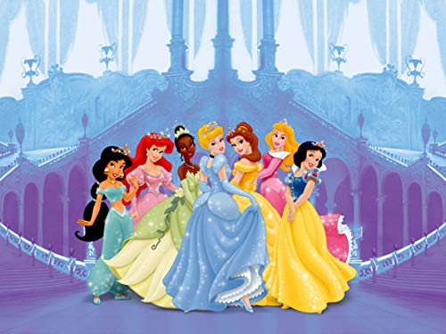 AG Design Disney Prinzessinen, Vlies Fototapete, 4 Teile, Multicolor, 360 x 270 cm von AG Design