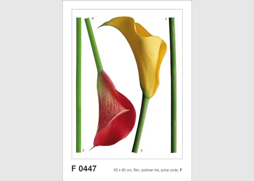 Wand Sticker F 0447 Callas von AG Design