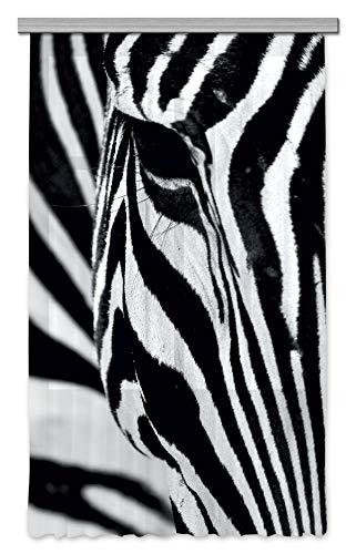 AG Design Zebra Gardine/Vorhang, Stoff, Mehrfarbig, 140 cm x 245 cm von AG Design