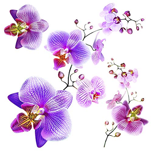 Orchideen Wohnzimmer, Küche, Wandstickers, Wandtattoo Büro, Schlafzimmer, Flur deko von AG Design 30 x 30 cm | SS 3859 von AG Design