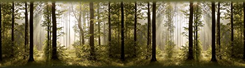 AG Design Selbstklebende Bordüre Wald, WB 8214 | Wasserfest Dekoration für Wände, Möbel, Tapeten, Wandverkleidungen und Türen, Folie, Mehrfarbig | Breite 500 cm x Höhe 13.8 cm von AG Design
