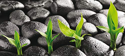 Fototapete FTNh2719 Photomurals Stein von AG Design