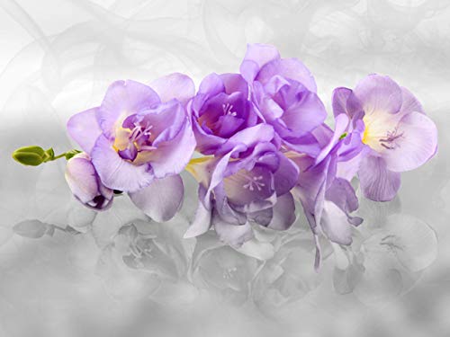 Fototapete FTNxxl2400, Orchidee 3D" von AG Design