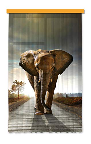 Gardine/Vorhang FCS L 7507, Elefant, 140 x 245 cm, 1 teil" Gardine/Vorhang FCS L 7507, Elefant, 140 x 245 cm, 1 teil" von AG Design
