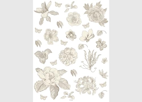 Grafiken Blumen Küche, Wohnzimmer, Büro, Schlafzimmer Wandstickers, Wandtattoo, Decals von AG Design | 65 x 85 cm | SSA 4204 von AG Design