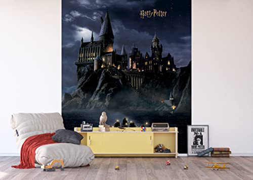 AG Design Harry Potter Vlies-Fototapete, AFTD3P 5176-412, 225 x 270 cm, mehrfarbig von AG Design