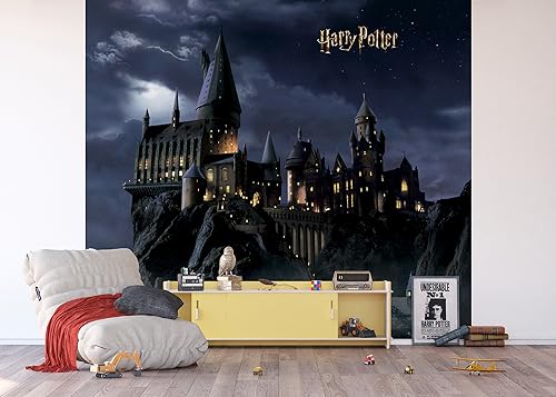 AG Design ADTD4P 7804-412 Harry Potter Vlies-Fototapete, 300 x 270 cm von AG Design