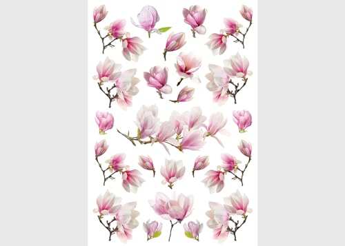 Magnolien Küche, Wohnzimmer, Büro, Schlafzimmer Wandstickers, Wandtattoo, Decals von AG Design 42,5 x 65 cm | ASM 3456 von AG Design