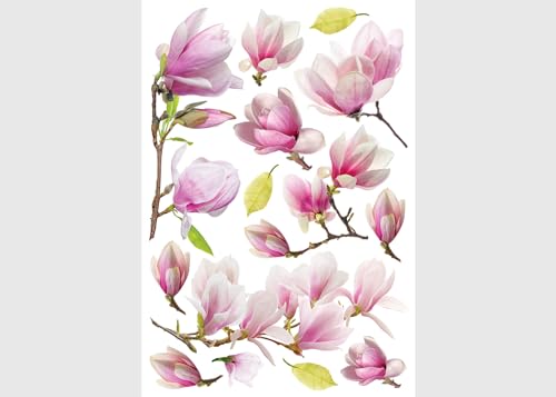 Magnolien Küche, Wohnzimmer, Büro, Schlafzimmer Wandstickers, Wandtattoo, Decals von AG Design 42,5 x 65 cm | ASM 3458 von AG Design