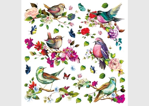 Vögel Küche, Wohnzimmer, Büro, Schlafzimmer Wandstickers, Wandtattoo, Decals von AG Design 30 x 30 cm | SSA 3884 von AG Design