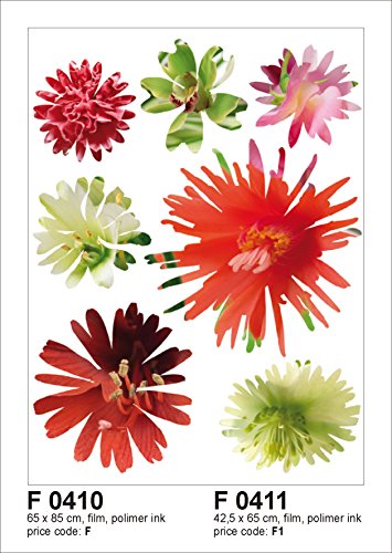 Wand Sticker F 0411, Blumen, 42,5 x 65 cm, 1 teilig von AG Design