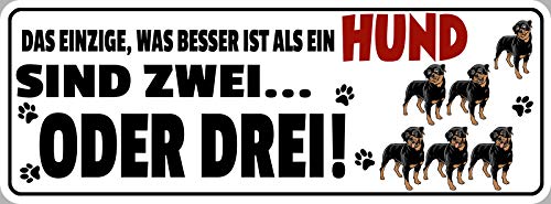 AGDeko® Blechschild 27x10 cm Das einzige was Besser ist als ein Hund sind Zwei oder Drei Tier Liebe Haustiere von AGDeko André Günther Dekoration & Style