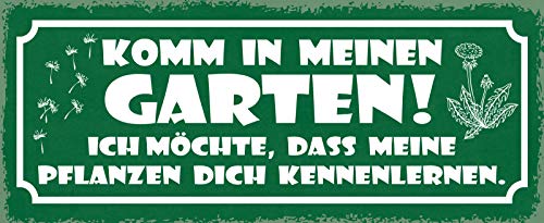 AGDeko® Blechschild 27x10 cm Komm in meinen Garten Ich möchte dass meine Pflanzen dich kennenlernen Spruch von AGDeko André Günther Dekoration & Style