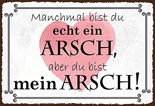 AGDeko® Blechschild manchmal bist du ein ARSCH aber Größe 30x20 cm von AGDeko André Günther Dekoration & Style