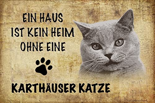 Aus Holz 20x30cm Ein Haus ist kein Heim ohne eine Karthäuser Katze Tierliebe Tafel Spruch von AGDeko André Günther Dekoration & Style