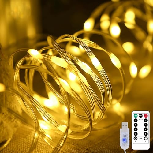 AGOTD Lichterkette 10M 100 LEDs Warmweiß, USB LED Streifenlicht mit Fernbedienung 8 Modi wasserdicht, LED Streifenlicht für Garten Balkon Kinderzimmer, Innen und Außen dekoration von AGOTD