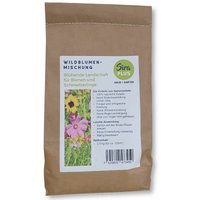 Agrilio - Sira Plus Wildblumen 2,5 kg Saat Blumensamen Wildblumenmischungen Bienenweide von AGRILIO