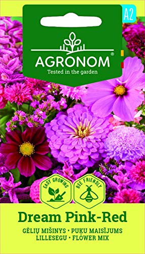 AGRONOM | BLUMENMISCHUNG DREAM PINK-RED | Blumensamen | Eine bunte Mischung aus einjährigen Blumen für Sommerblumengärten | Anbau in Blumengärten und Töpfen | 1 Pack von AGRONOM Tested in the garden