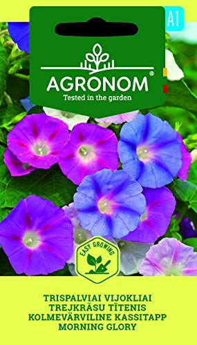 AGRONOM | DREIFARBIGE WINDENGEWÄCHSE | Blumenssamen | Blumen wachsen schnell und sind pflegeleicht | Einjährige Pflanze | Pflanze samen | Die Blumen sind grell, glockenförmig | 1 Pack von AGRONOM Tested in the garden