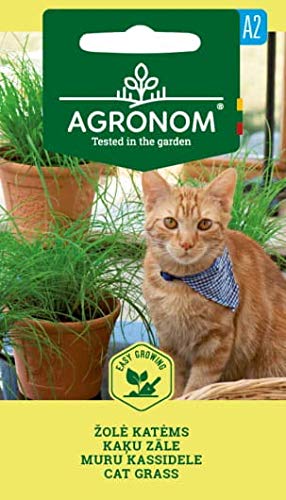 AGRONOM | GRAS FÜR KATZEN | Grassamen | Schnell wachsendes samen | zum Füttern von Papageien und zum Füttern von Haustieren | 1 Pack von AGRONOM Tested in the garden